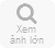 Đèn nấm cây thông